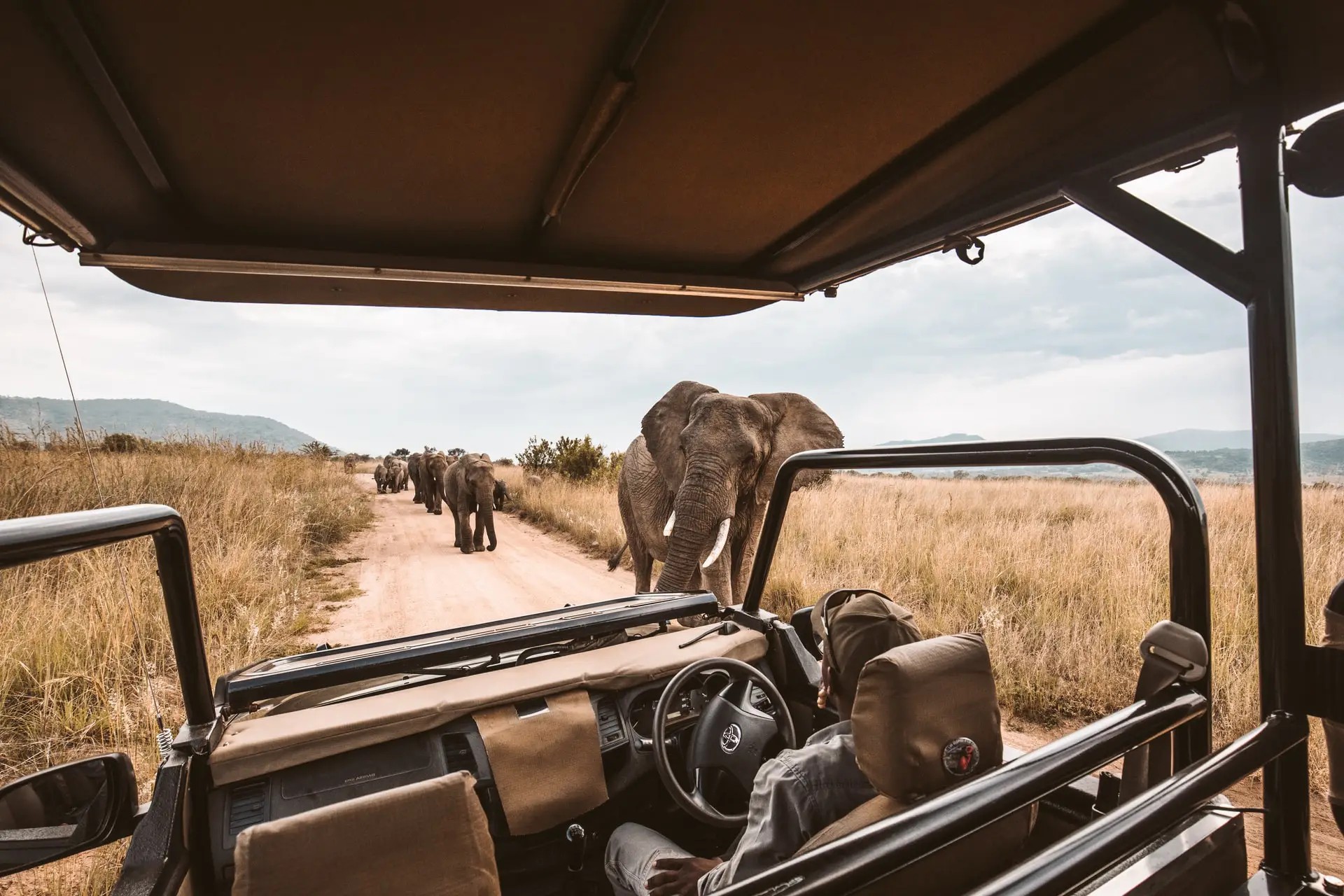 guided-game-drive-safari3